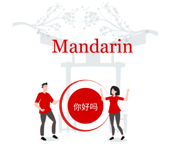HSK Standard Course 1 - Workbook / Mandarin Language